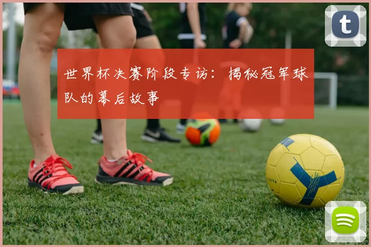世界杯决赛阶段专访:揭秘冠军球队的幕后故事