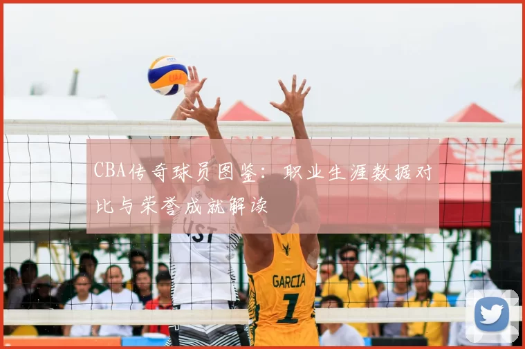CBA传奇球员图鉴:职业生涯数据对比与荣誉成就解读