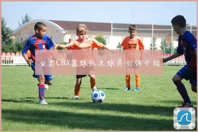 甘肃CBA篮球队及球员刘伟介绍