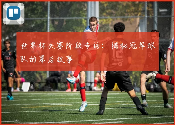 世界杯决赛阶段专访：揭秘冠军球队的幕后故事