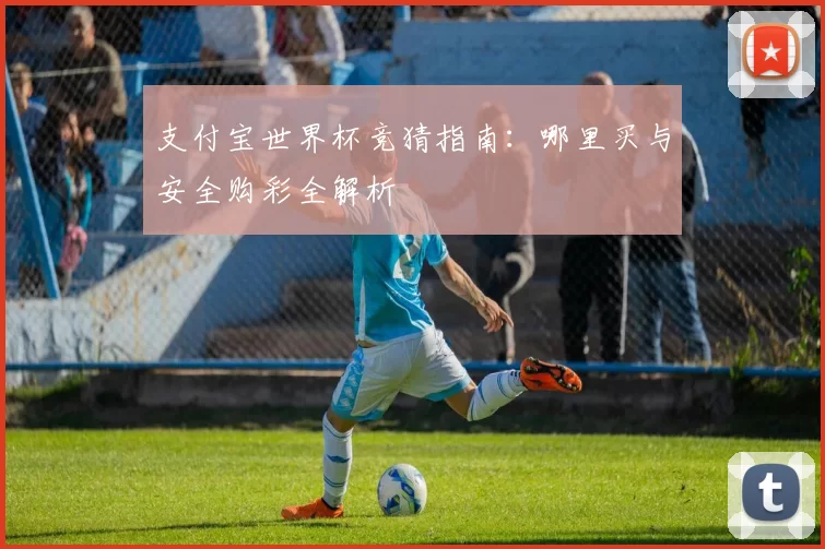 支付宝世界杯竞猜指南:哪里买与安全购彩全解析