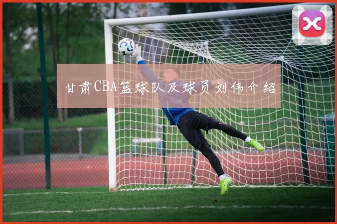 甘肃CBA篮球队及球员刘伟介绍
