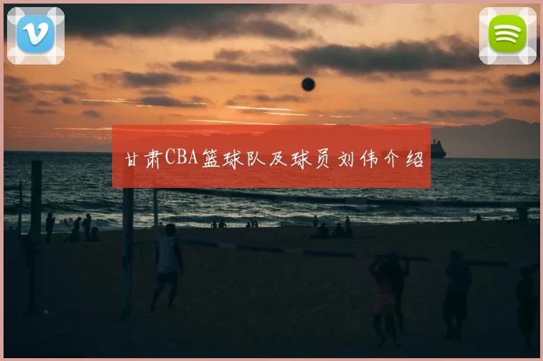 甘肃CBA篮球队及球员刘伟介绍