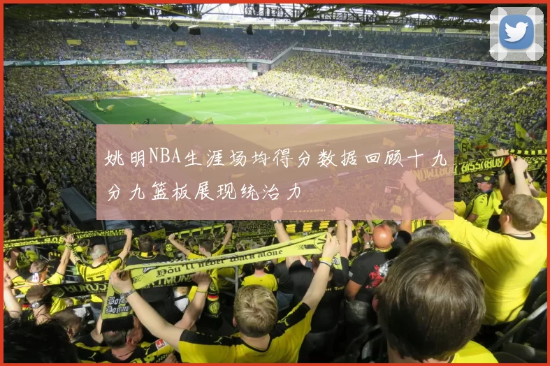 姚明NBA生涯场均得分数据回顾十九分九篮板展现统治力