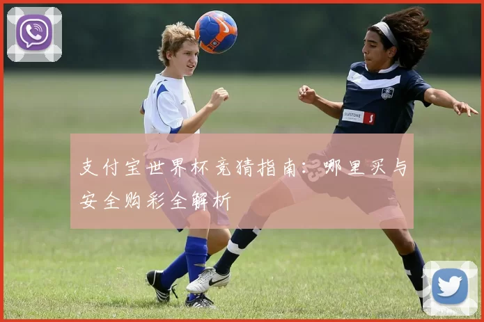 支付宝世界杯竞猜指南:哪里买与安全购彩全解析