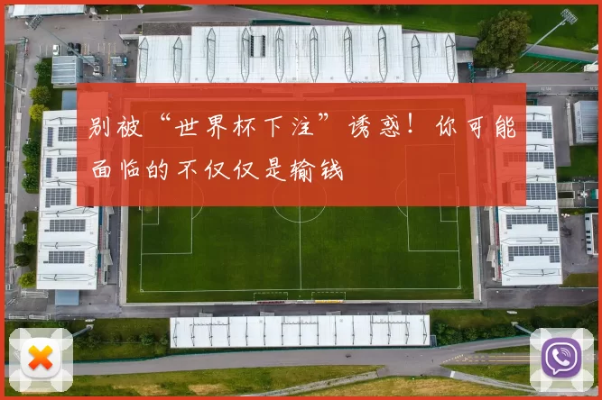 别被“世界杯下注”诱惑!你可能面临的不仅仅是输钱