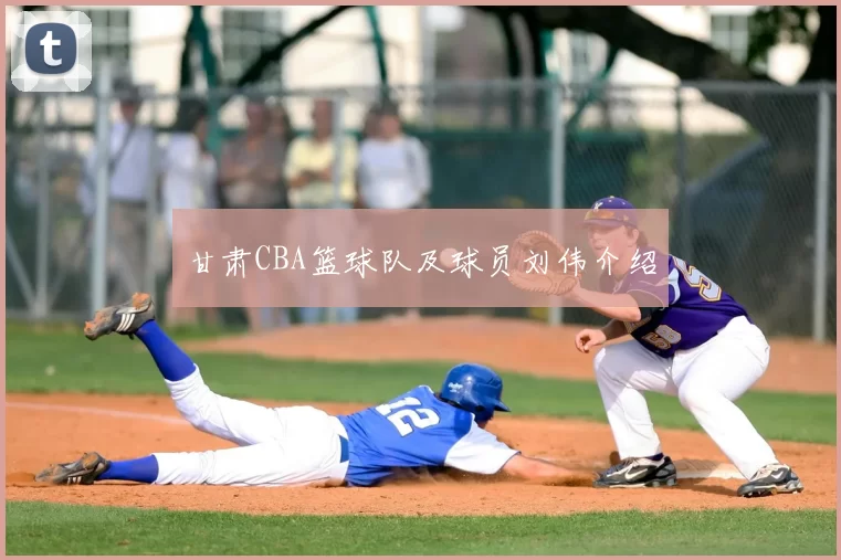 甘肃CBA篮球队及球员刘伟介绍