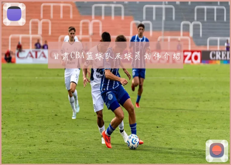 甘肃CBA篮球队及球员刘伟介绍