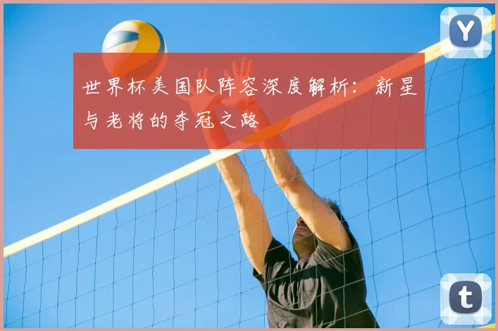 世界杯美国队阵容深度解析:新星与老将的夺冠之路