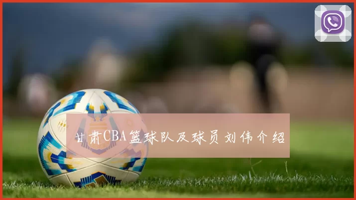 甘肃CBA篮球队及球员刘伟介绍