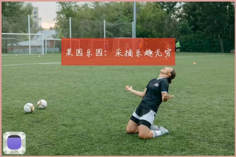 果园乐园:采摘乐趣无穷