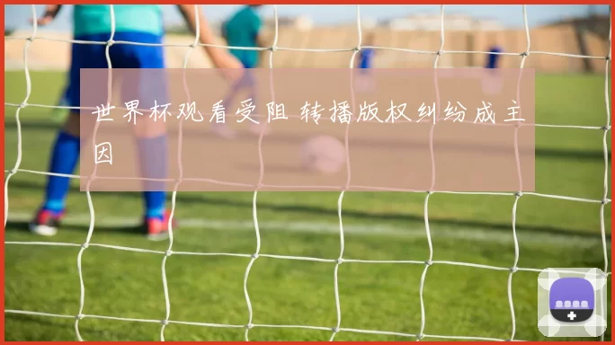 世界杯观看受阻 转播版权纠纷成主因