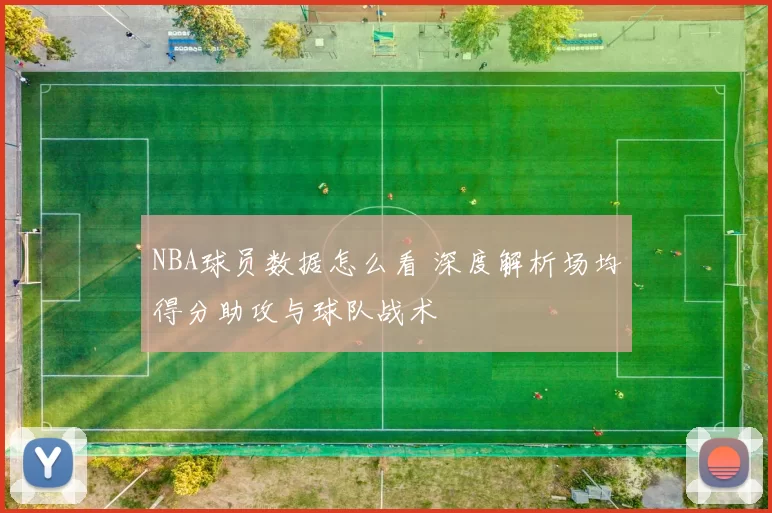 NBA球员数据怎么看 深度解析场均得分助攻与球队战术