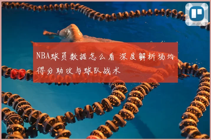 NBA球员数据怎么看 深度解析场均得分助攻与球队战术