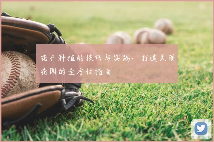 花卉种植的技巧与实践,打造美丽花园的全方位指南