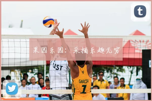 果园乐园:采摘乐趣无穷