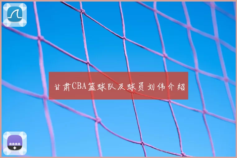 甘肃CBA篮球队及球员刘伟介绍